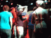 A-crowd-see_a_cow_take_a_drink A-crowd-see_a_cow_take_a_drink